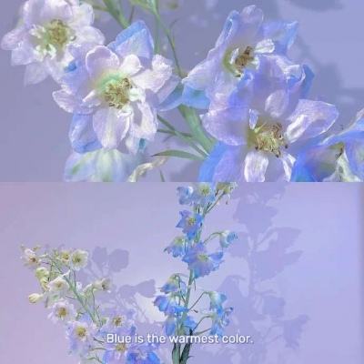 子虚赋